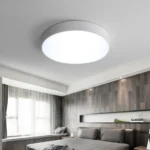 48: Futura Flush Mount LED Light